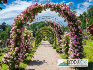 Фотофон виниловый «Аллея»